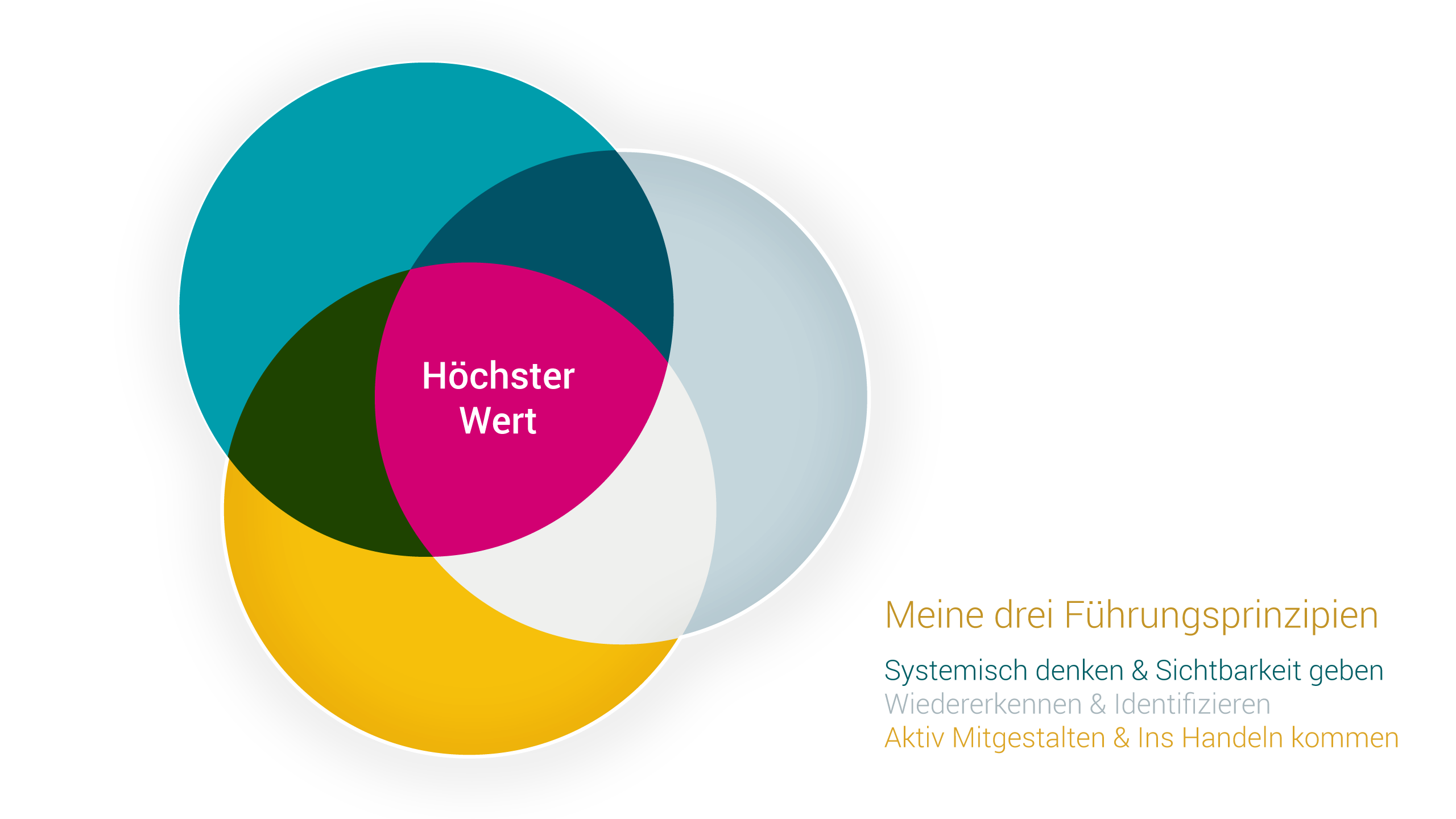 Systemisch Denken, Identifizieren, gemeinsam Handeln