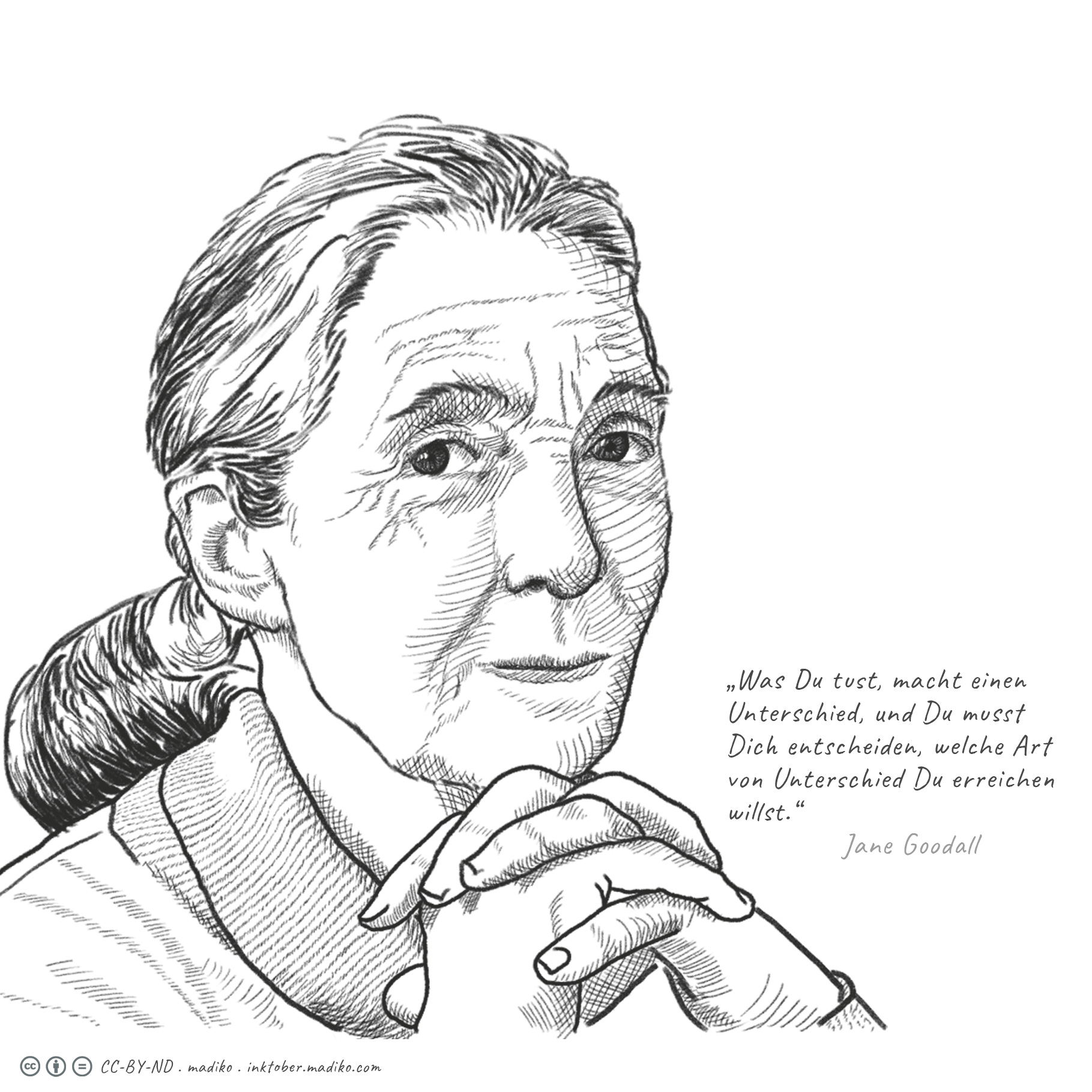 zitatinte: Jane Goodall. Bild: cc Franziska Köppe | madiko
